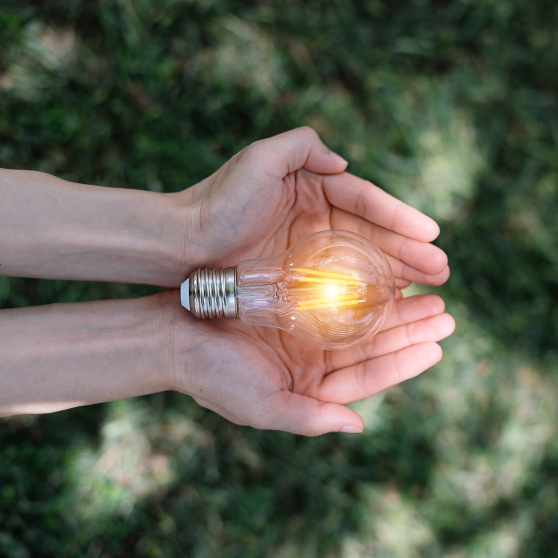 <strong>Diseño sostenible</strong>